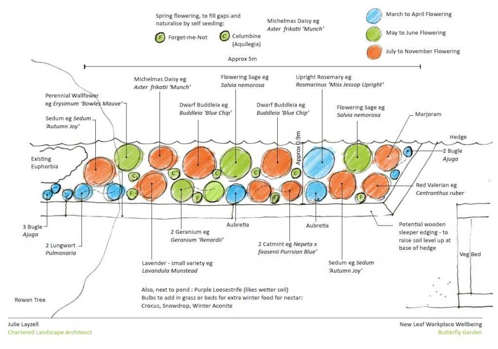 How to Create a Butterfly Garden