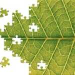 Collaborate to Innovate Project Somerset