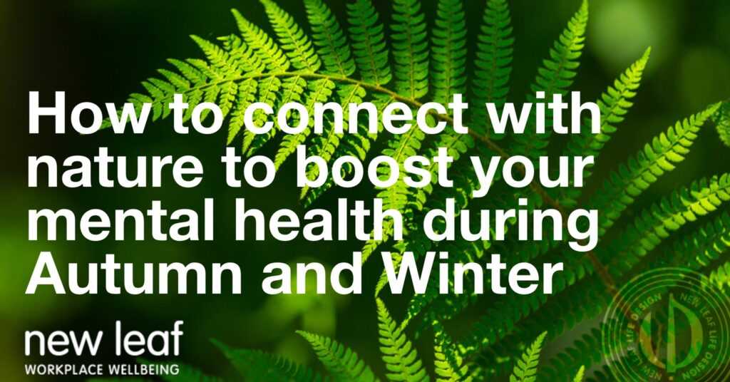 How to Connect With Nature to Boost Your Mental Health During Autumn and Winter