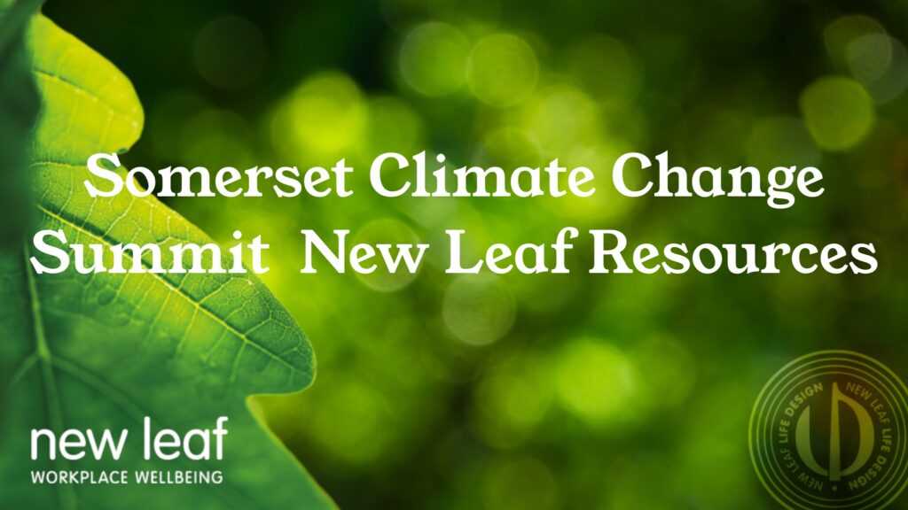 Somerset Climate Change Summit 2022 - New Leaf Resources