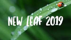 New Leaf 2019 Year