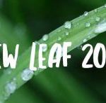 New Leaf 2019 Year