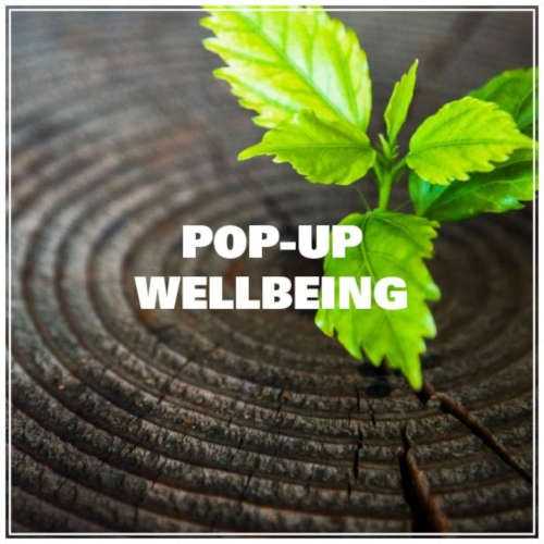 Pop-up wellbeing New Leaf Somerset Becky Wright