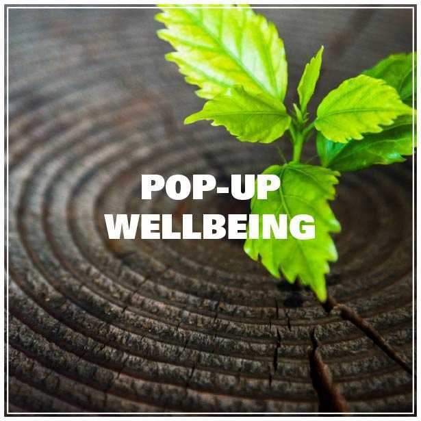 pop- up wellbeing