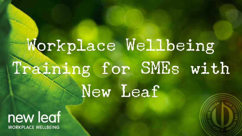 Workplace wellbeing training for Somerset SMEs