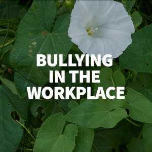 bullying in the workplace