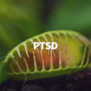 ptsd