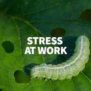 Stress at Work